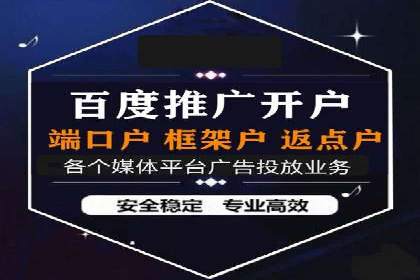 百度广告投放策略与效果评估案例